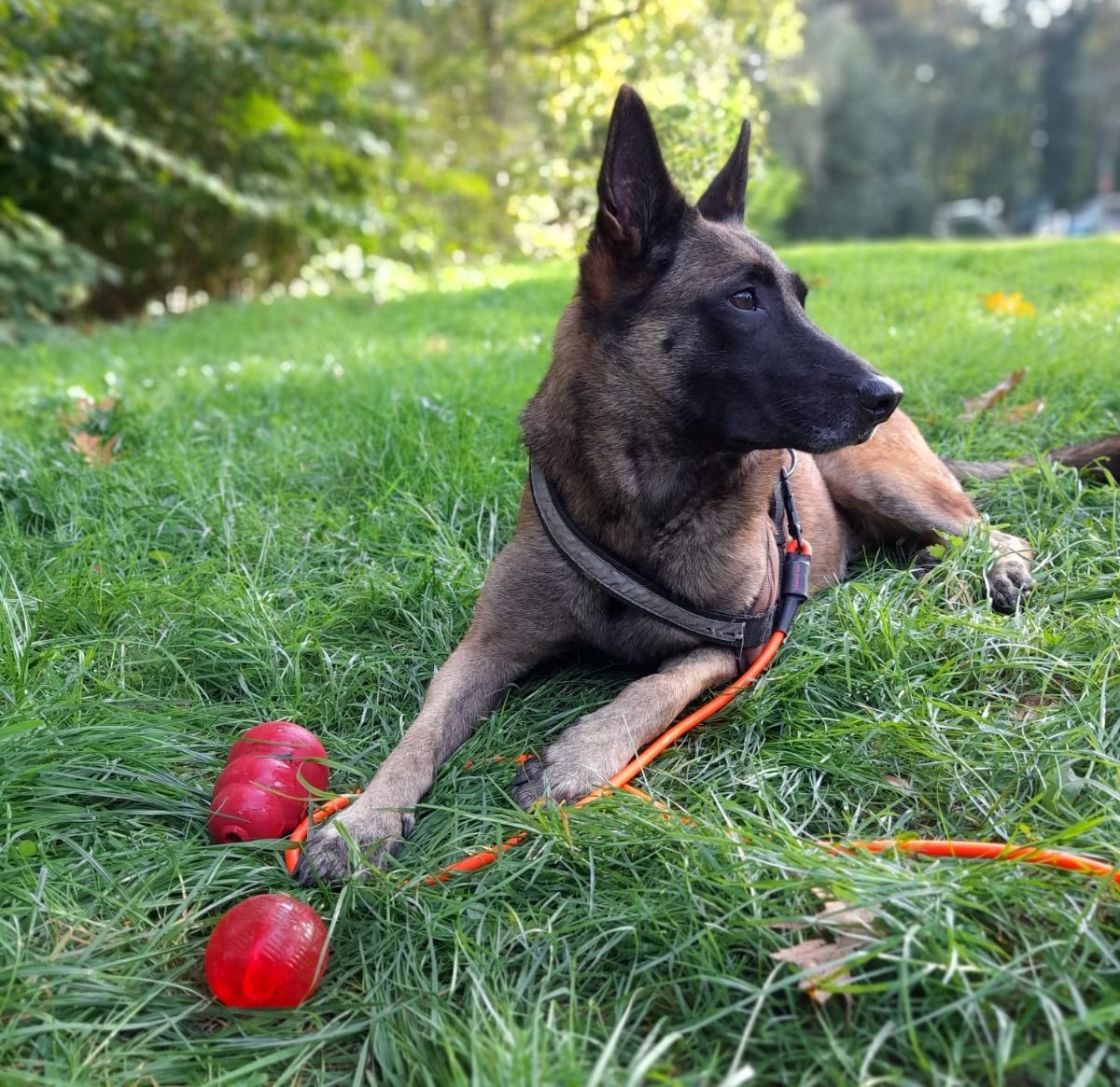 photo 2024 12 30 11 40 11 e1735568161360